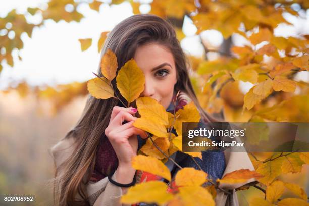 herbst mädchen - gesicht verstecken stock-fotos und bilder