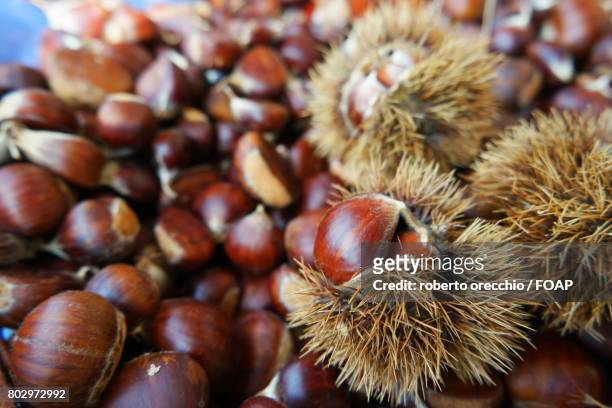 close-up of chestnuts - orecchio bildbanksfoton och bilder