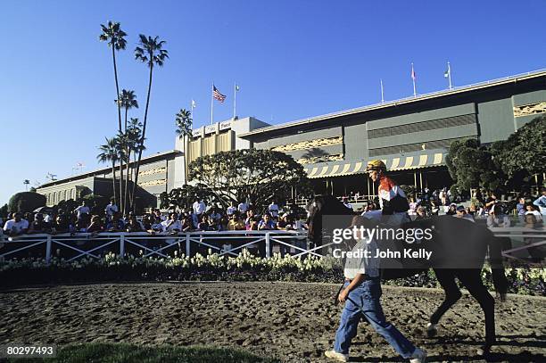 Hall of fame jockey Gary Stevens, is led from the paddock to the race track at Santa Anita Park in 1994.