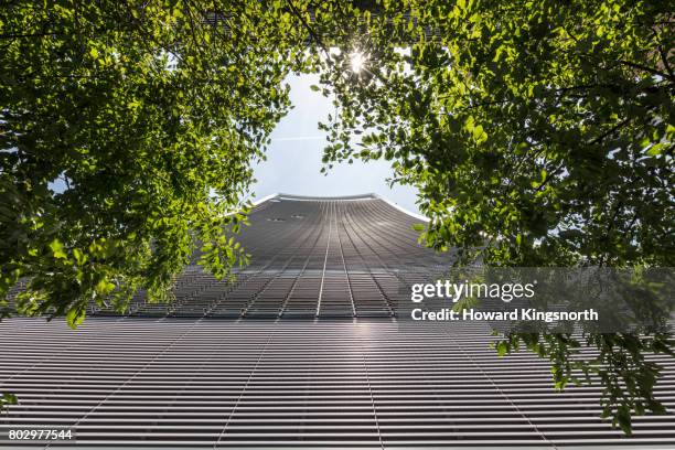 city of london skyscraper with trees, looking up - leadenhall building stock pictures, royalty-free photos & images