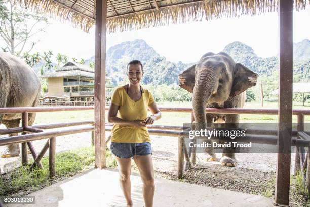 woman feeding elephant - kao sok national park fotografías e imágenes de stock