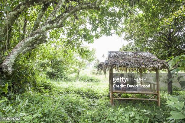 man sitting in bamboo hut in the jungle - ko lanta stockfoto's en -beelden