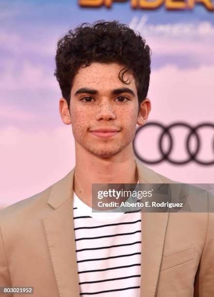 Premiere Of Columbia Pictures' "Spider-Man: Homecoming" - Arrivals, News Photo