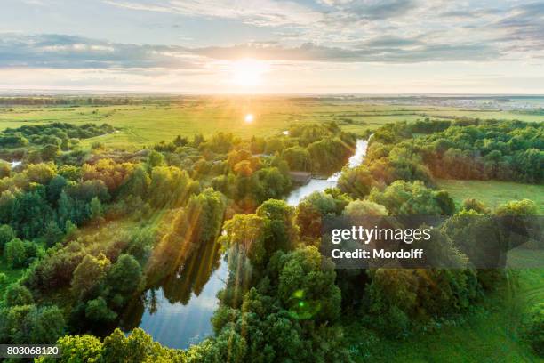 vogelperspektive. sommer scenic landschaft bei sonnenuntergang - forest green stock-fotos und bilder