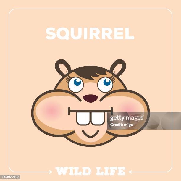 upload-istock - cute squirrel stock illustrations