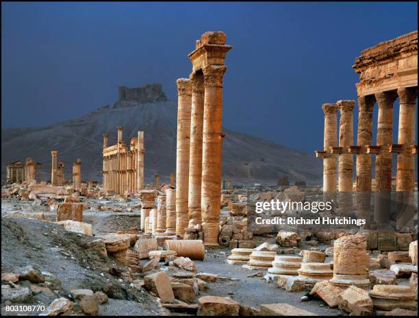 the great colonnade at palmyra was the main colonnaded avenue in the ancient city of palmyra in the syrian desert - palmyra syria stock pictures, royalty-free photos & images