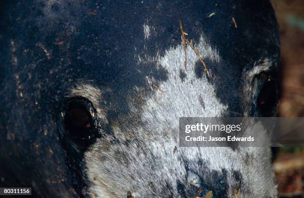 87 Corner Inlet Stock Photos, High-Res Pictures, and Images - Getty Images