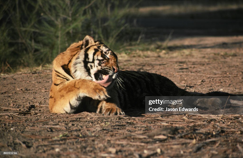 Warragamba Animal Park, New South Wales, Australia.