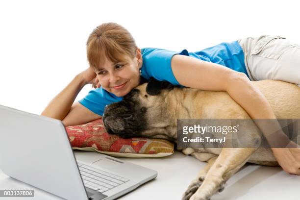 senior mujer mirando el ordenador con su bullmastiff mascotas disfrutando de una taza de café - bull mastiff fotografías e imágenes de stock