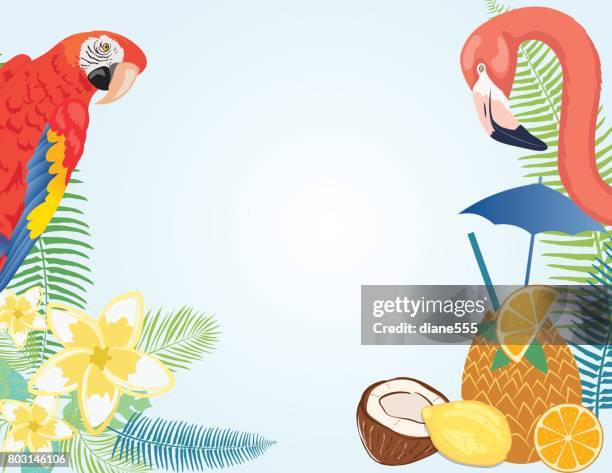 tropical plants background - macaw stock illustrations