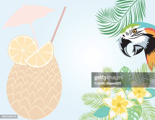 tropical plants background - macaw stock illustrations
