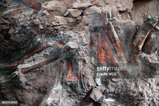 The site of dinosaur fossils concentrated in a wall of rock is seen at Laojun Village on June 28, 2017 in Chongqing, China. The dinosaur fossils are...