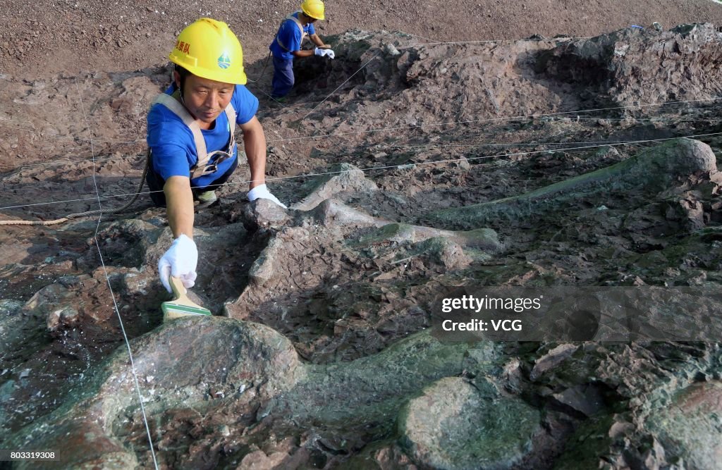 Dinosaur Fossils Wall Found In Chongqing