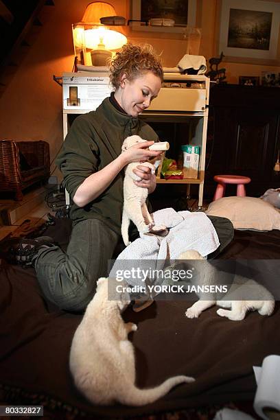 Worker feeds on March 21, 2008 three white Lion cubs which were born last week in the zoo of Olmen. AFP PHOTO / BELGA PHOTO / YORICK JANSENS