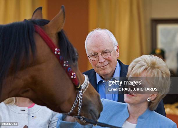Vice-President Dick Cheney and his wife Lynn look at one of Saudi Arabia King Abdullah bin Abdulaziz's, famous Arabian horses on March 21, 2008...