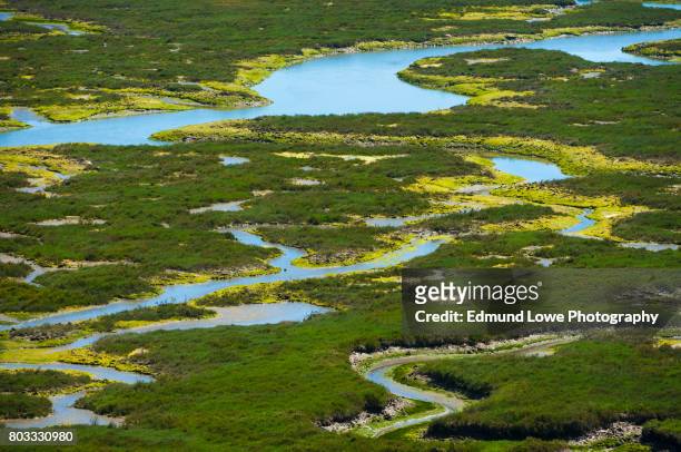 elkhorn slough reserve, monterey bay, california - watershed 2017 stock pictures, royalty-free photos & images