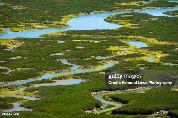 elkhorn slough reserve, monterey bay, california - watershed 2017 bildbanksfoton och bilder