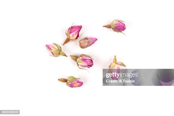 rose flower dry tea - bouton de fleur photos et images de collection