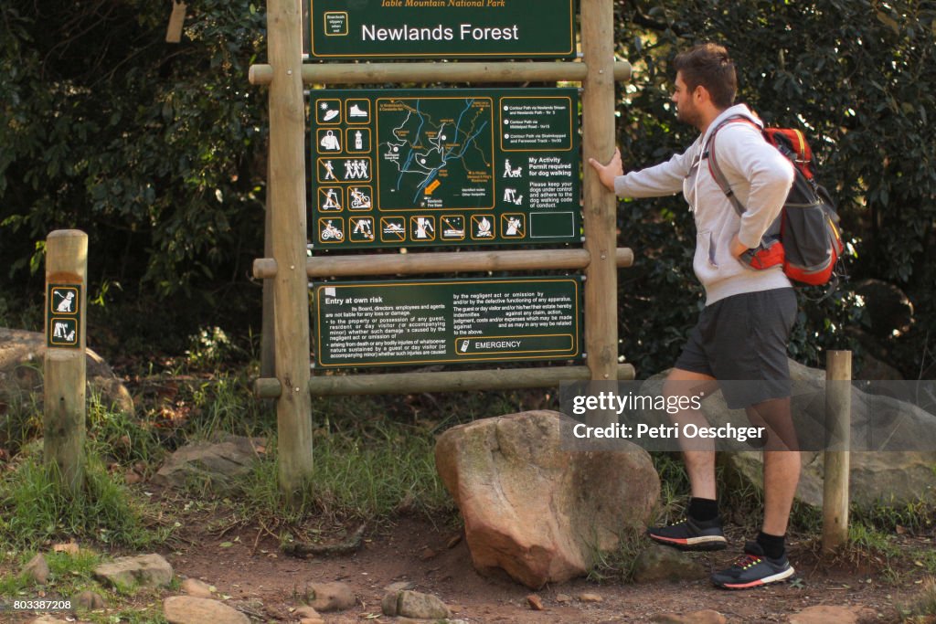 A Hiker looks at a map of the forrest.