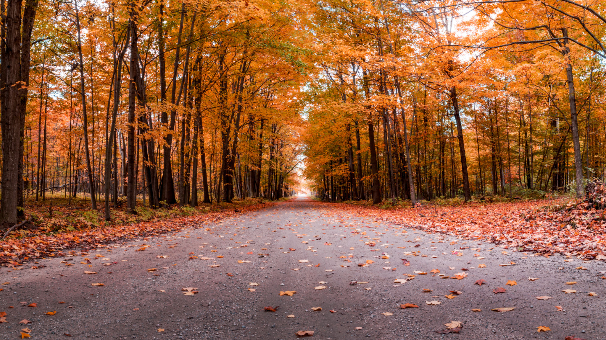 Traverse City landscape