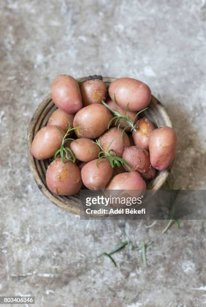 new potatoes with rosemary - raw new potato stock pictures, royalty-free photos & images