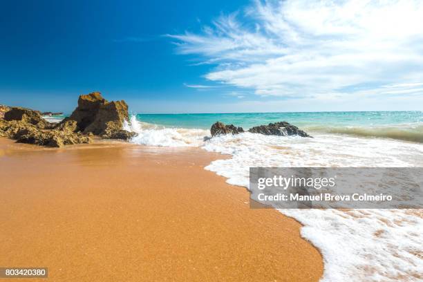 summer in cádiz - tarifa stock-fotos und bilder