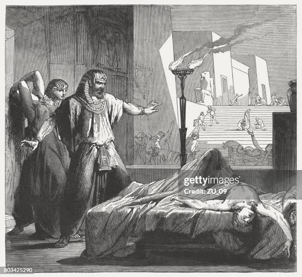 stockillustraties, clipart, cartoons en iconen met dood van de eerstgeborenen (exodus 12,29), houtgravure, 1886 gepubliceerd - uittocht uit egypte