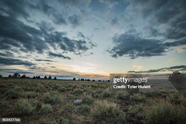 dramatic skies on steens mountain - frenchglen stock-fotos und bilder