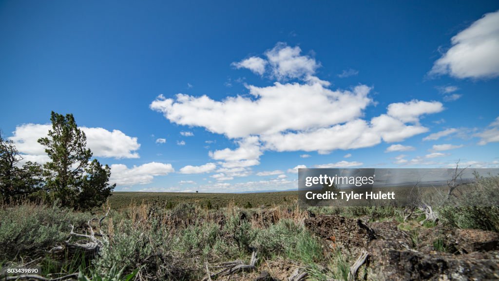 Empty plain on Steens Mountain 1