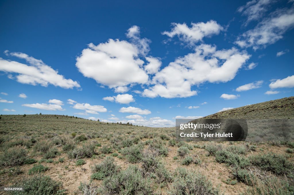Empty plain on Steens Mountain 2