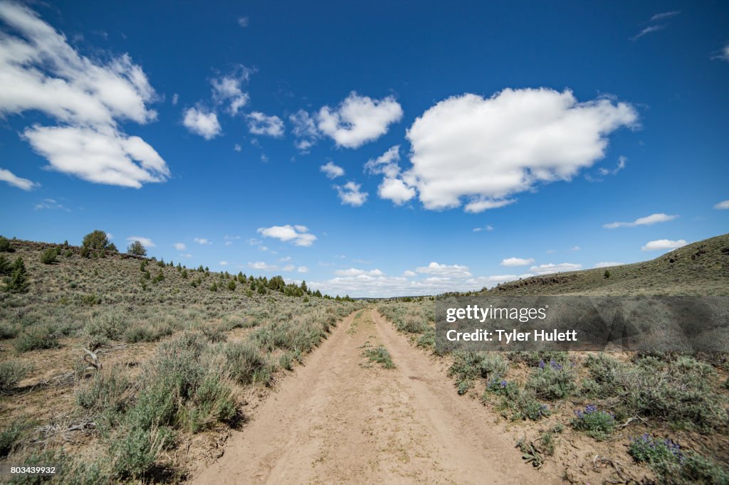 Dirt road leading to new horizons