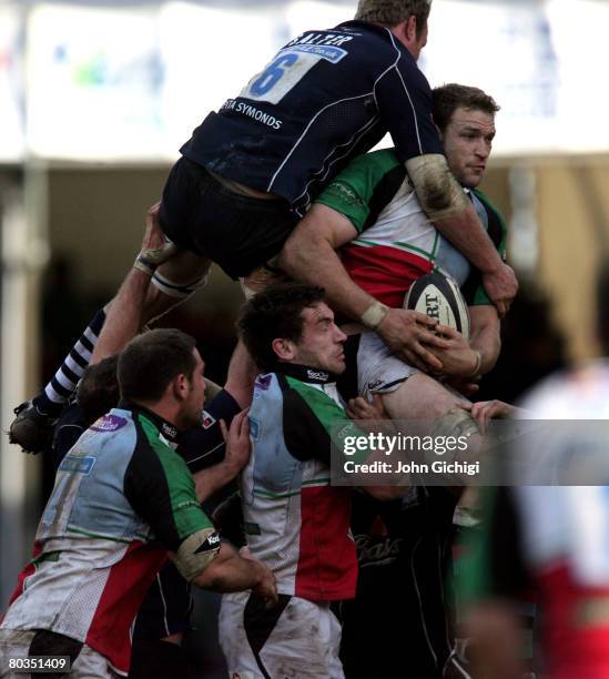George Robson 304 George Robson Rugby Player Stock Photos, High-Res Pictures, and ...