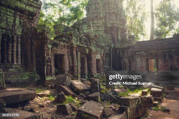 an interior view of ta prohm temple, near angkor wat, siem reap, cambodia. - siem reap stockfoto's en -beelden