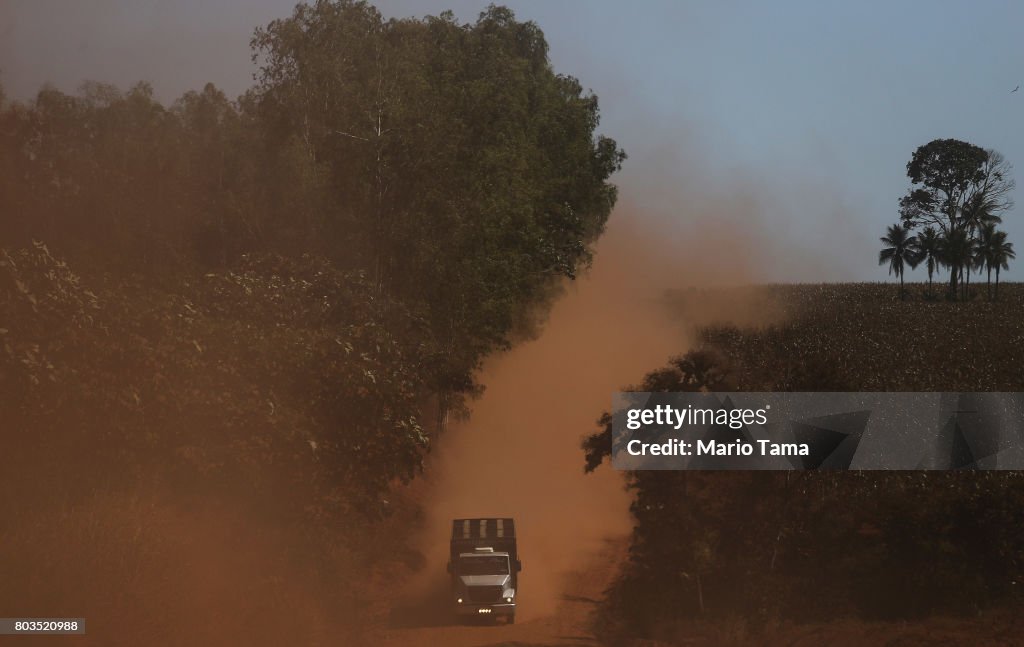 Fighting Recession, Level of Deforestation in Brazil Reaches Nine Year High