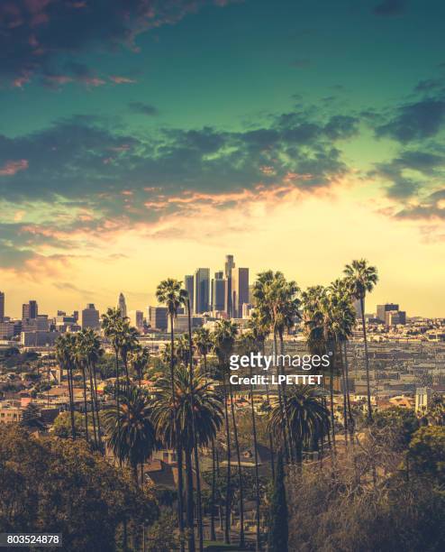 dtla downtown los angeles - hollywood stock pictures, royalty-free photos & images