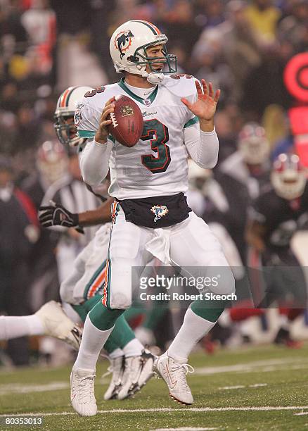 Miami Dolphins quarterback Joey Harrington looks upfield during the game against the Buffalo Bills at Ralph Wilson Stadium in Orchard Park, New York...