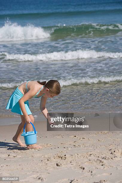 girl collecting shells at beach - treasure hunt outside stock pictures, royalty-free photos & images