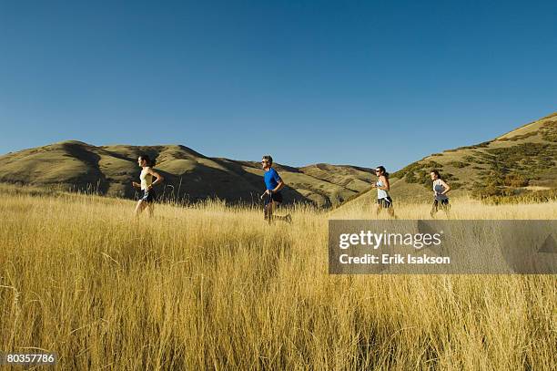 Running In Field 1,047 Running In The Distance Field Stock Photos, High-Res Pictures ...
