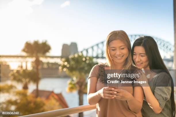 multicultural australia - person looking at phone while smiling australia stock pictures, royalty-free photos & images