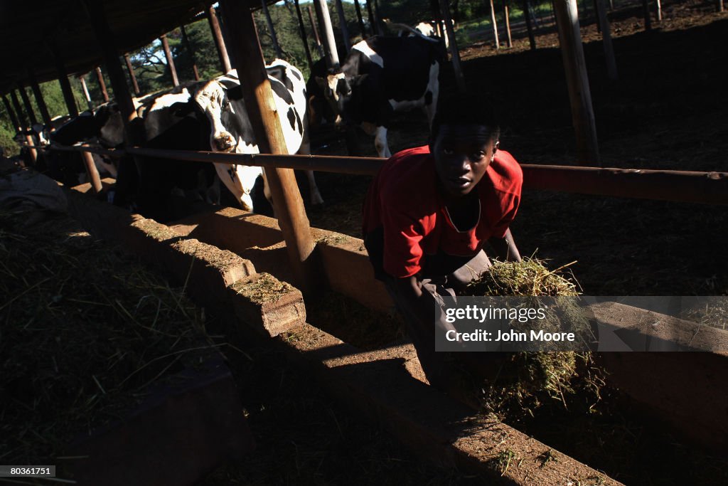 Zimbabwe Struggles To Feed Itself Following Land Reform