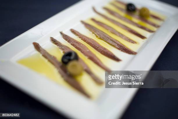 anchovies in oil, santoña, cantabria, spain. - anchova imagens e fotografias de stock