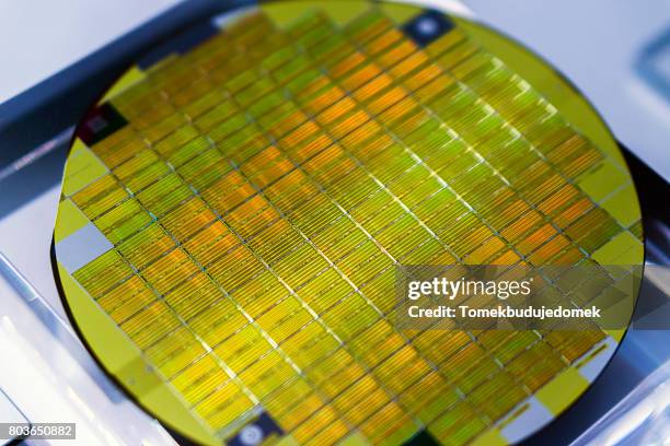 wafer - computer wafer stock pictures, royalty-free photos & images