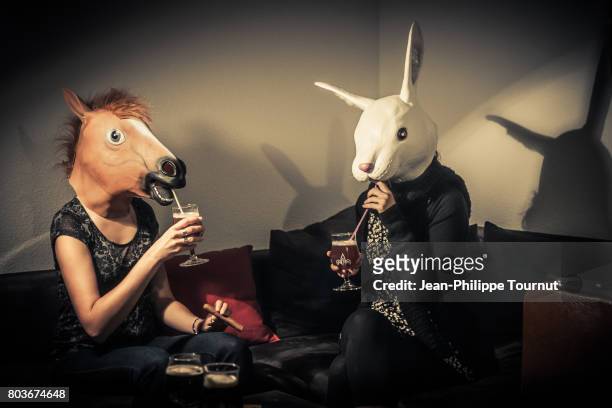 rabbit and horse drinking together - crazy party stockfoto's en -beelden