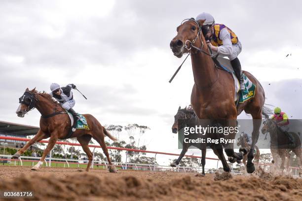 Kailua ridden by Daniel Stackhouse wins the 13th Beach Golf Club 3YOMaiden Plate at Geelong Synthetic Racecourse on June 30, 2017 in Geelong,...