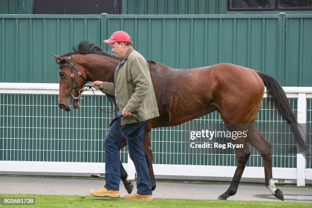 Trainer Brendan McCarthy after his horse Kailua won the 13th Beach Golf Club 3YOMaiden Plate, at Geelong Synthetic Racecourse on June 30, 2017 in...