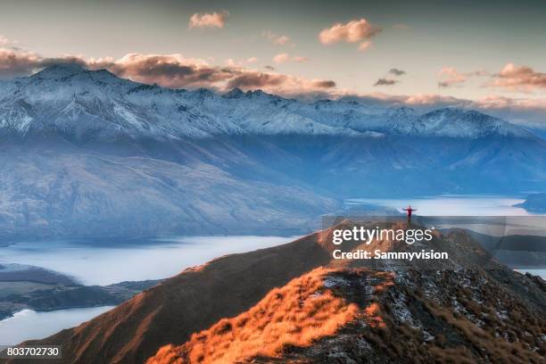 man standing on the top of mount roy - lake wanaka stock-fotos und bilder