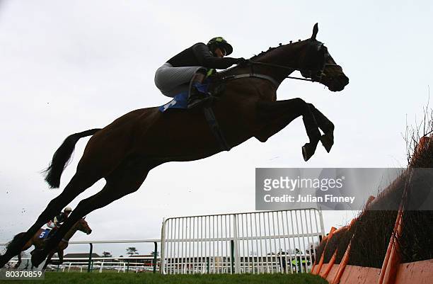 Spider Boy ridden by Miss G.D. Gracey-Davidson jumps a fence in The Colin Derby Rose Memorial Handicap Hurdle Raceat Fontwell Racecourse on March 25,...