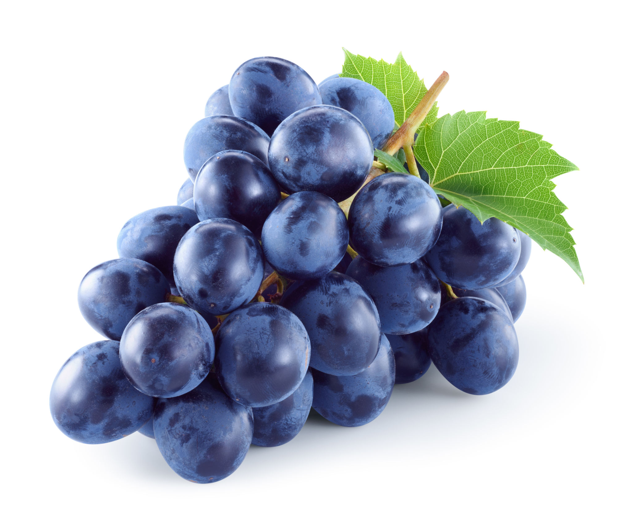 fresh grapes