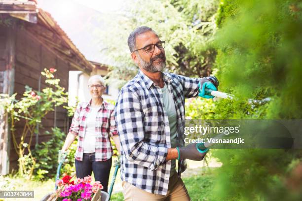 groen met ouder paar - working in the garden couple stockfoto's en -beelden