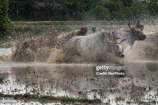 The race of theMoichara take place during the beginning of monsoon in a village near Namkhana, west Bengal. Moichhara means ladder on the field and...